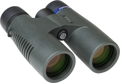 Focus Optimum - FLERE VARIANTER